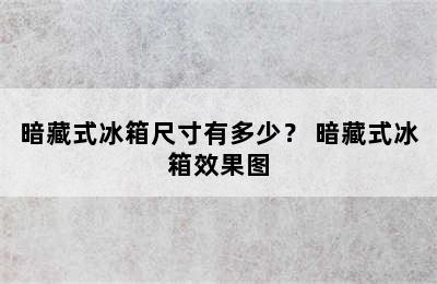 暗藏式冰箱尺寸有多少？ 暗藏式冰箱效果图